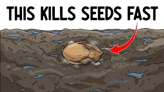 Your Seeds Aren't Germinating Because of This One Thing