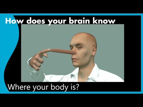 What is Proprioception? | How does your brain know where your body is?
