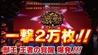 獣王 王者の覚醒 【一撃2万枚】大爆発激レア映像！！！