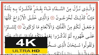 00620 Zuhrûf Sûresi 11-22. Ayetler - Muhammed Eyyup - محمد أيوب - (Yavaş Okuma)