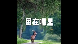 201509 困在哪里21657