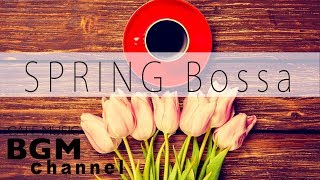 SPRING Bossa Cafe Music - Relaxing Jazz Music - Unwind Music - Background Music