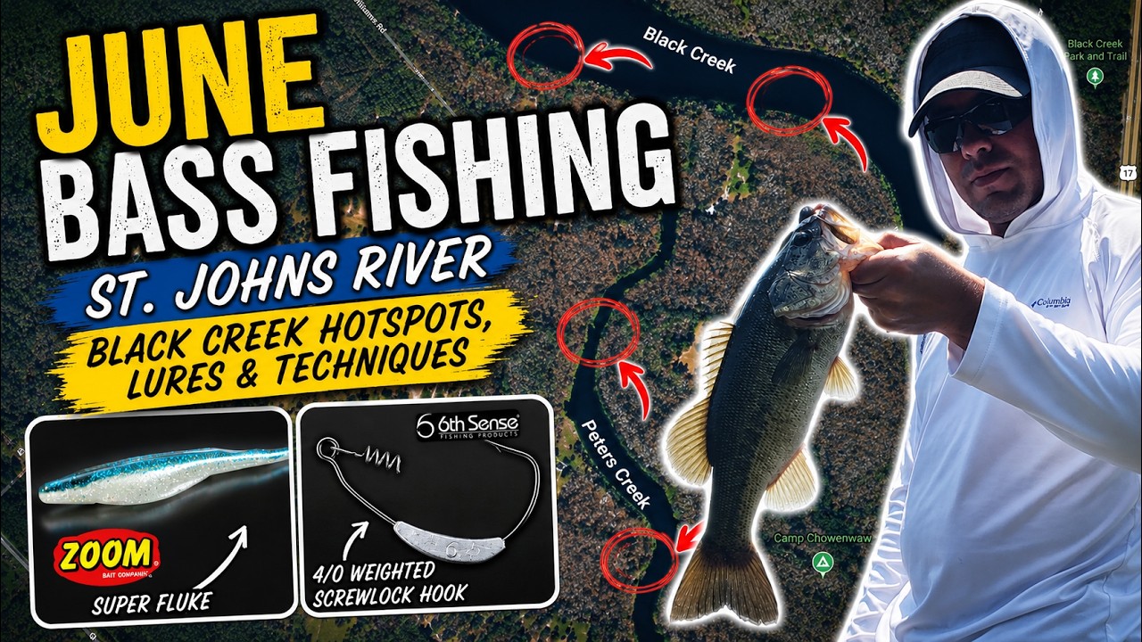 June Bass Fishing on the St Johns River Black Creek Hotspots, Lures & Techniques