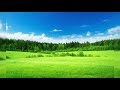 Green fields - Richard Clayderman