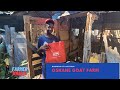 Oshane goat farm update and mix ration improvement plan