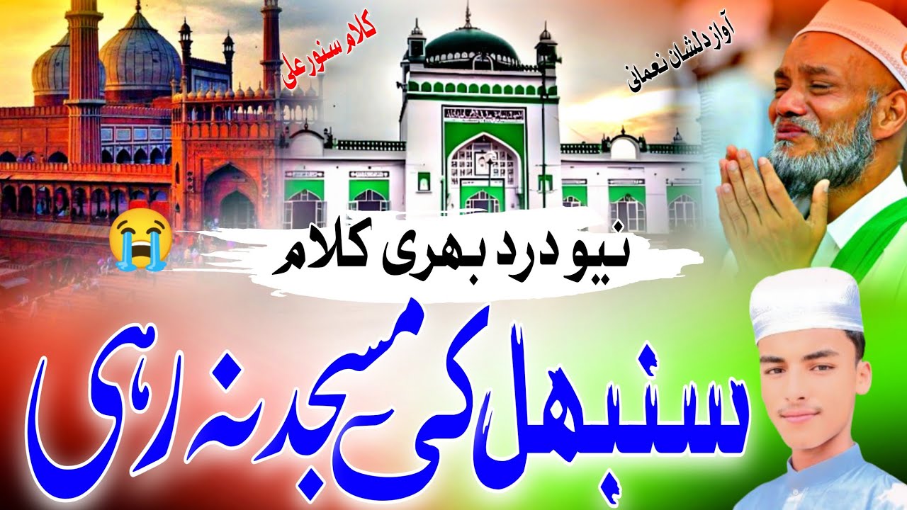 Sambhal Ke Halat Per Emotional Nazam | Dekh kar Haadsa Dil Bhi Hairan Hai, Dilshan Nomani