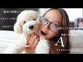 Q&A