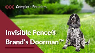 Complete Freedom with The Invisible Fence® Brand's Doorman™ by Canine Company 183 views 1 year ago 55 seconds