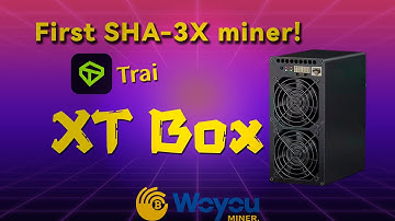 Goldshell XT Box Mining Results | Real Hashrate, Power Draw, and Earnings with Goldshell Miner