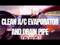 How to Service A/C Evaporator and Drainpipe - Toyota Wigo, Ayla, Agya, Perodua Axia