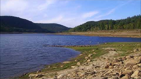 Improvisation #100 for Poly Evolver Keyboard and Prophet 