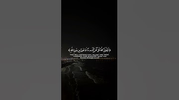 تلاوة من سورة الزمر القارئ #ياسر_الدوسري