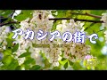 北山たけし/♬アカシアの街で  カバー