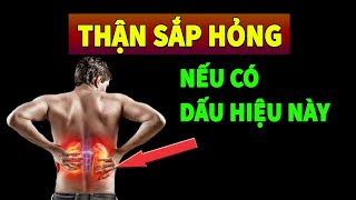 Thận sắp hỏng nếu cơ thể có 9 dấu hiệu này   Sống Khỏe