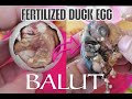 🔴ASMR Balut Duck Embryo EXOTIC DELICACY ep.62