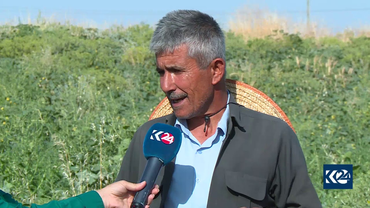 جووتیارێك لەرێگەی موتەربەكردن شووتی و كودی بەرھەمدەھێنێت