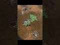 59 Minutes and Then This Happened… | Rus vs HRE #shorts #gaming #ageofempires4 #aoe4 #games