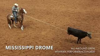 2023 Apha World Show All-Around Open Western Performance Horse