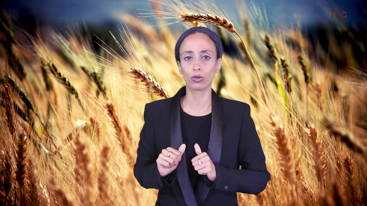 מה עושים אם שכחו להפריש חלה בערב יום טוב