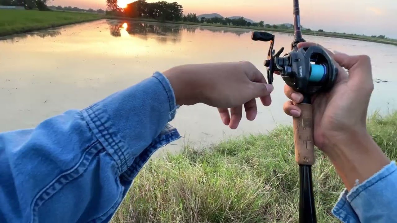 Weebass Z9X 2025 ทดสอบการใช้งานจริง หมุนนิ่มเนียนมือ ดีเกินราคา 