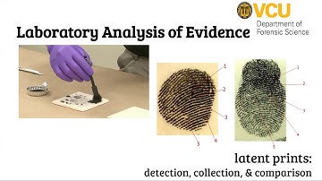 What is forensic science