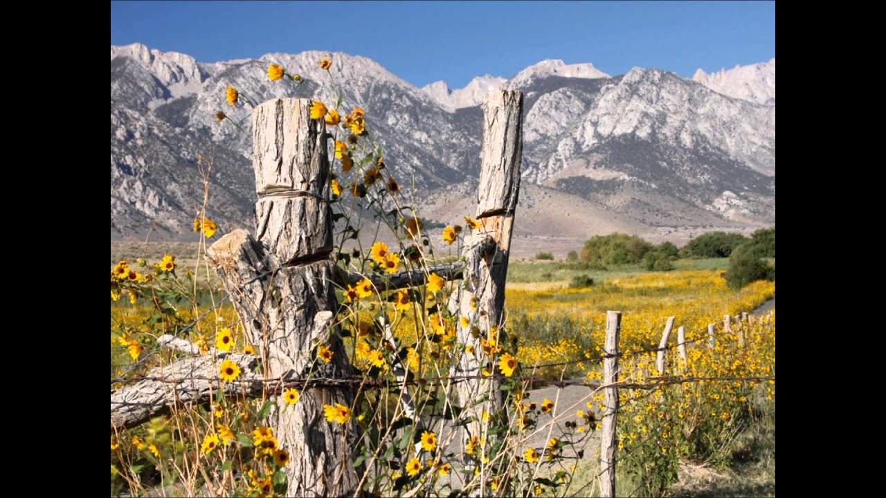 Eastern Sierra Nevada 2011