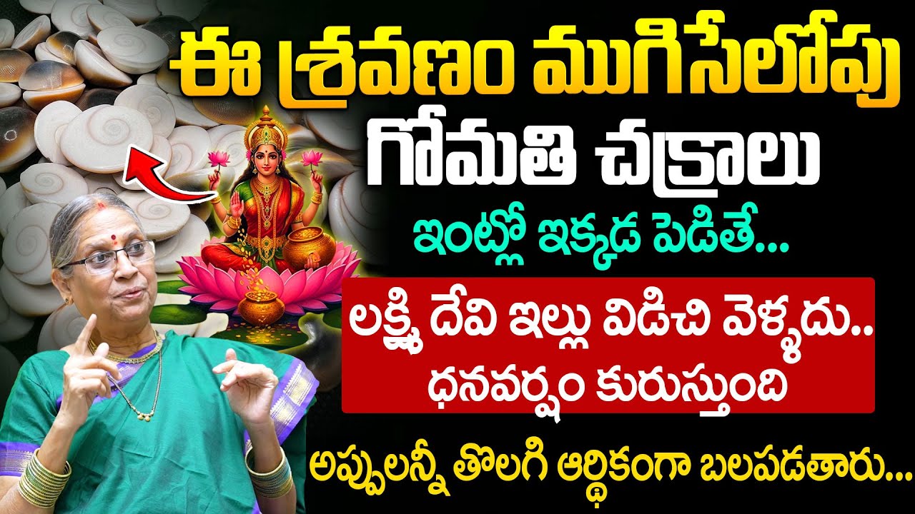 ఇంట్లో గోమతి చక్రాలు ఇక్కడ పెడితే లక్ష్మి దేవి ఇల్లు విడిచి వెళ్ళదు.. | Gomati Chakra Benefits