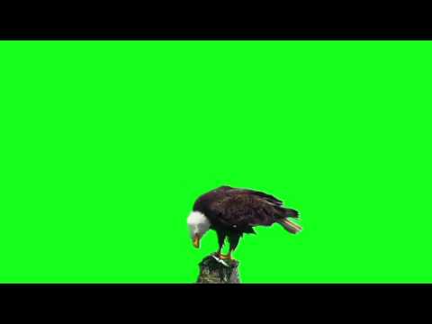 010101