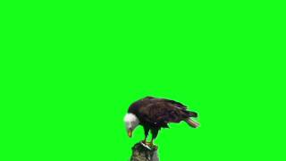 010101