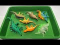 Stegosaurus | Chungkingosaurus | Ankylosaurus | Nodosaurus | Dinosaur Toys