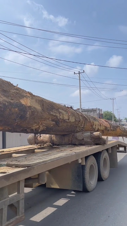 😬CLOSE-UP OF THE TRUCK CARRYING A LONG TIMBER FOR THE GUMORIANG RACEBOAT! #pacujalur #2024 #shorts