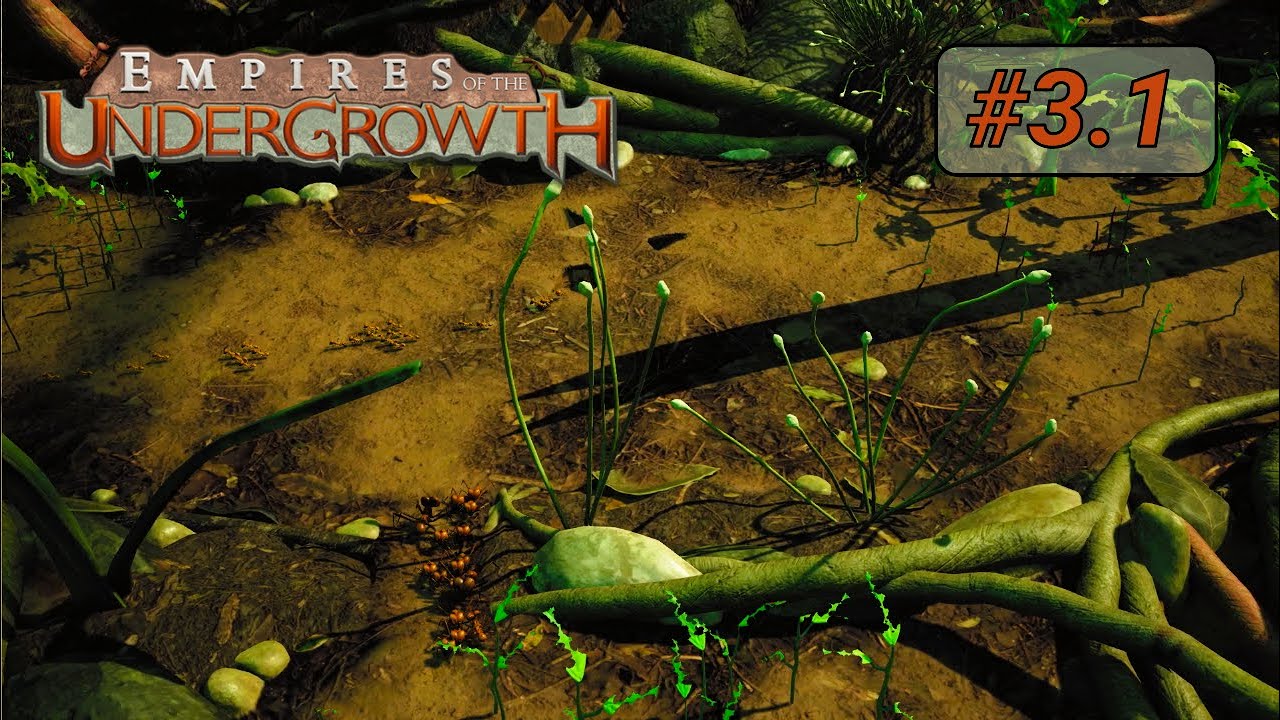 Empires of the Undergrowth - 3.1 The Harvest - Impossible