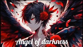 Nightcore - Angel Of Darkness Male Version Lyrics