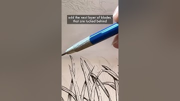 How to draw grass in #penandink