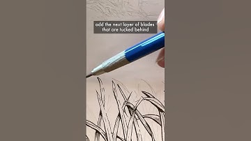 How to draw grass in #penandink