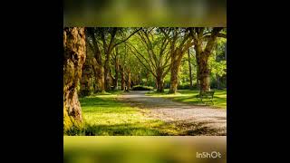 Dr Paul The Worshiper Ngeendikuna ..