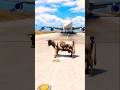 Cow Accidently Came During Airplane Landing | Grand Theft Auto V ||