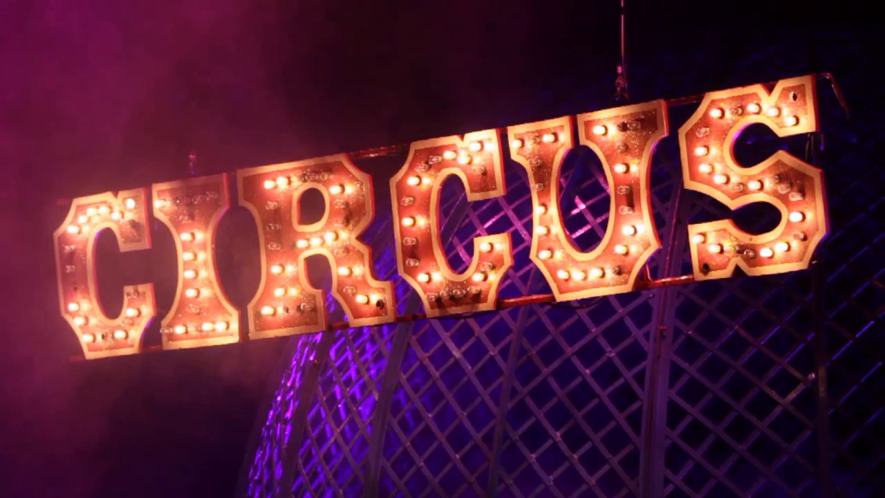 A taster of Cirque Berserk with audience Vox Pop at the end