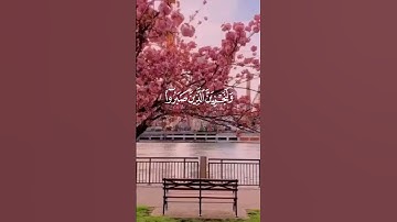 القرآن الكريم غذاء للروح