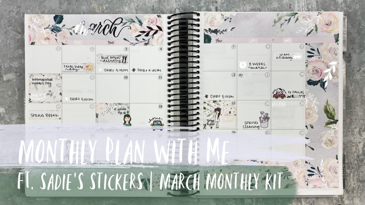 MARCH MONTHLY PLAN WITH ME | ft. sadie's stickers | erin condren neutral