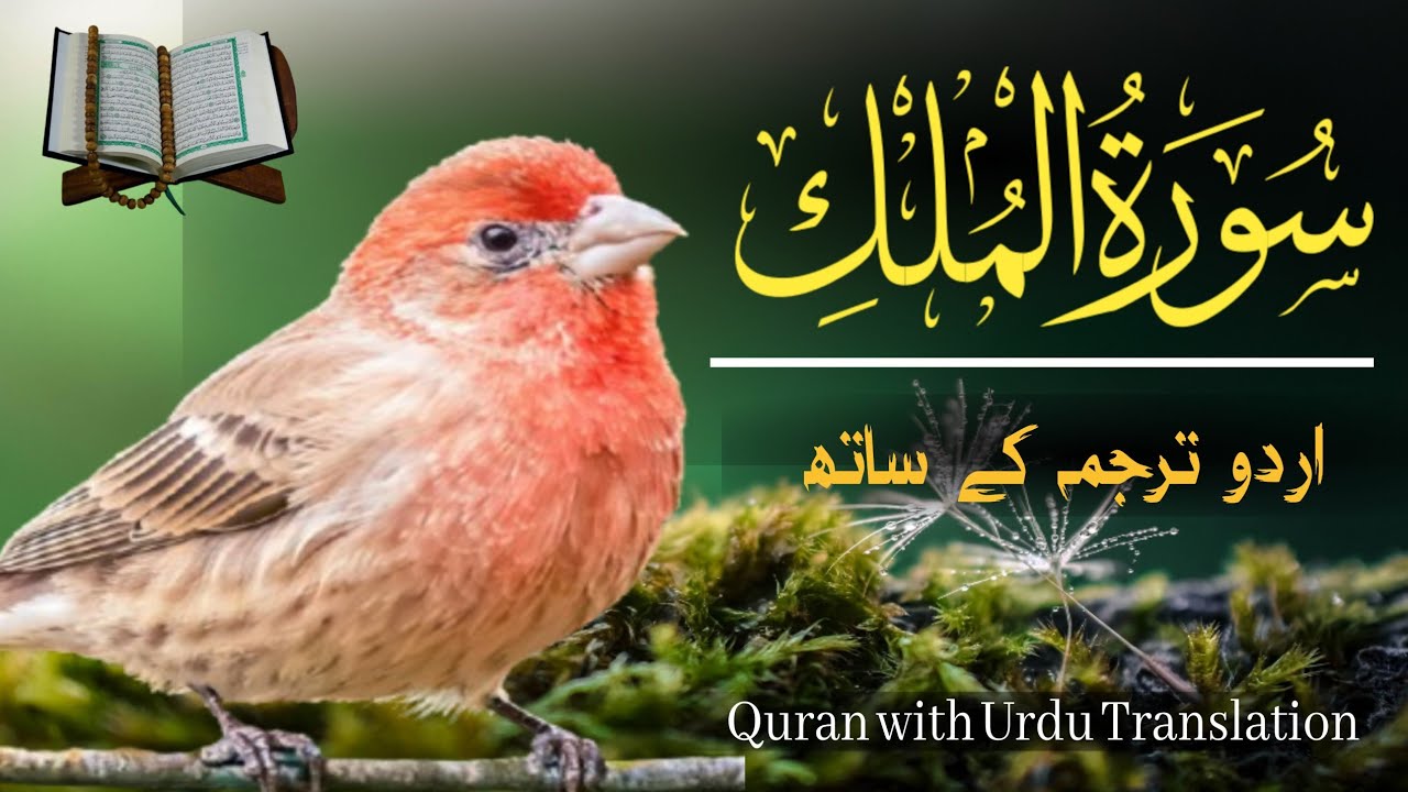 Surah Al-Mulk سورة الملك | Heart Touching Quran Recitation With Urdu Translation | Qari Abu Bakar