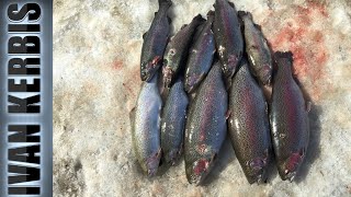 How we came off on trout . Spearfishing for trout in the Yenisei river.