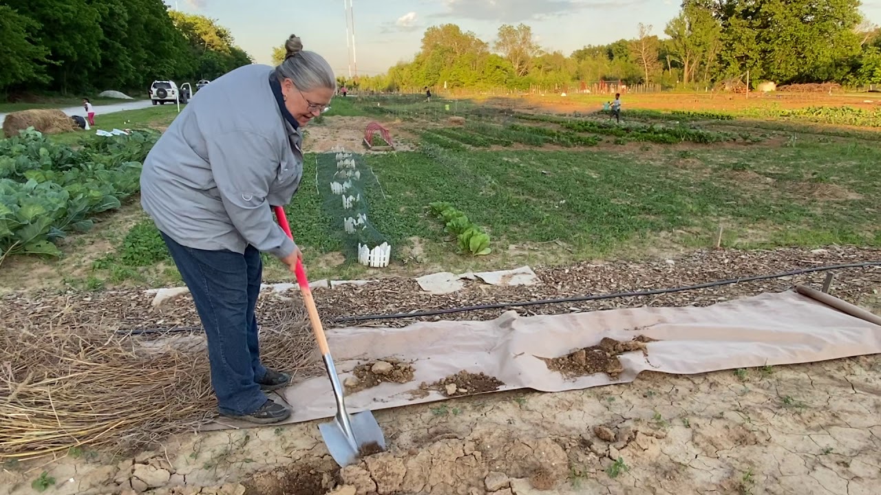 How to Create a Weed Barrier Using Paper YouTube
