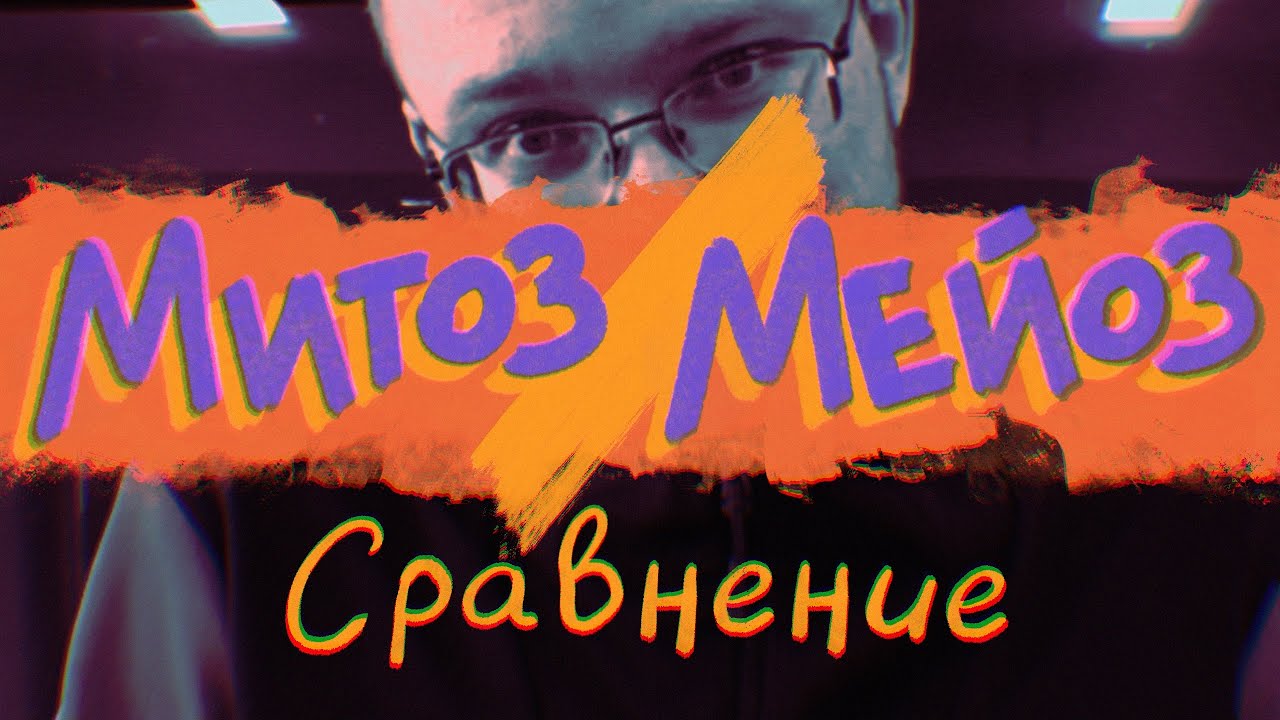 Митоз / Мейоз | Сравнение. Сходства и различия - YouTube