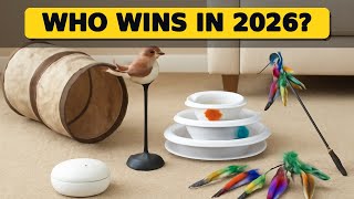 Top 5 Best Interactive Cat Toys 2026 - Keep Your Cat Engaged and Happy
