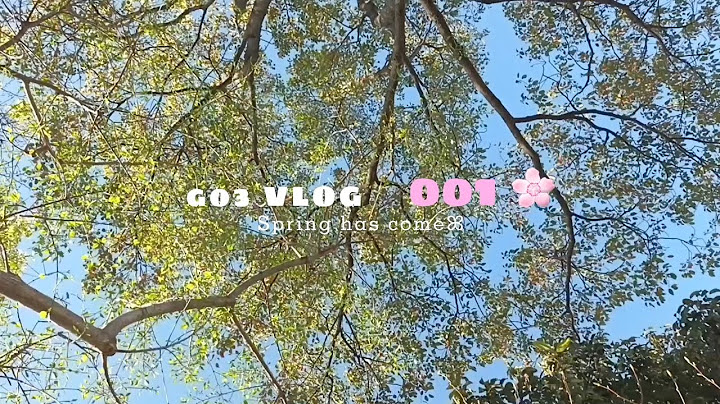 고3 방과후 브이로그🌸/고3 vlog/공부 안 하는 고삼💩/제주 여고생🍀