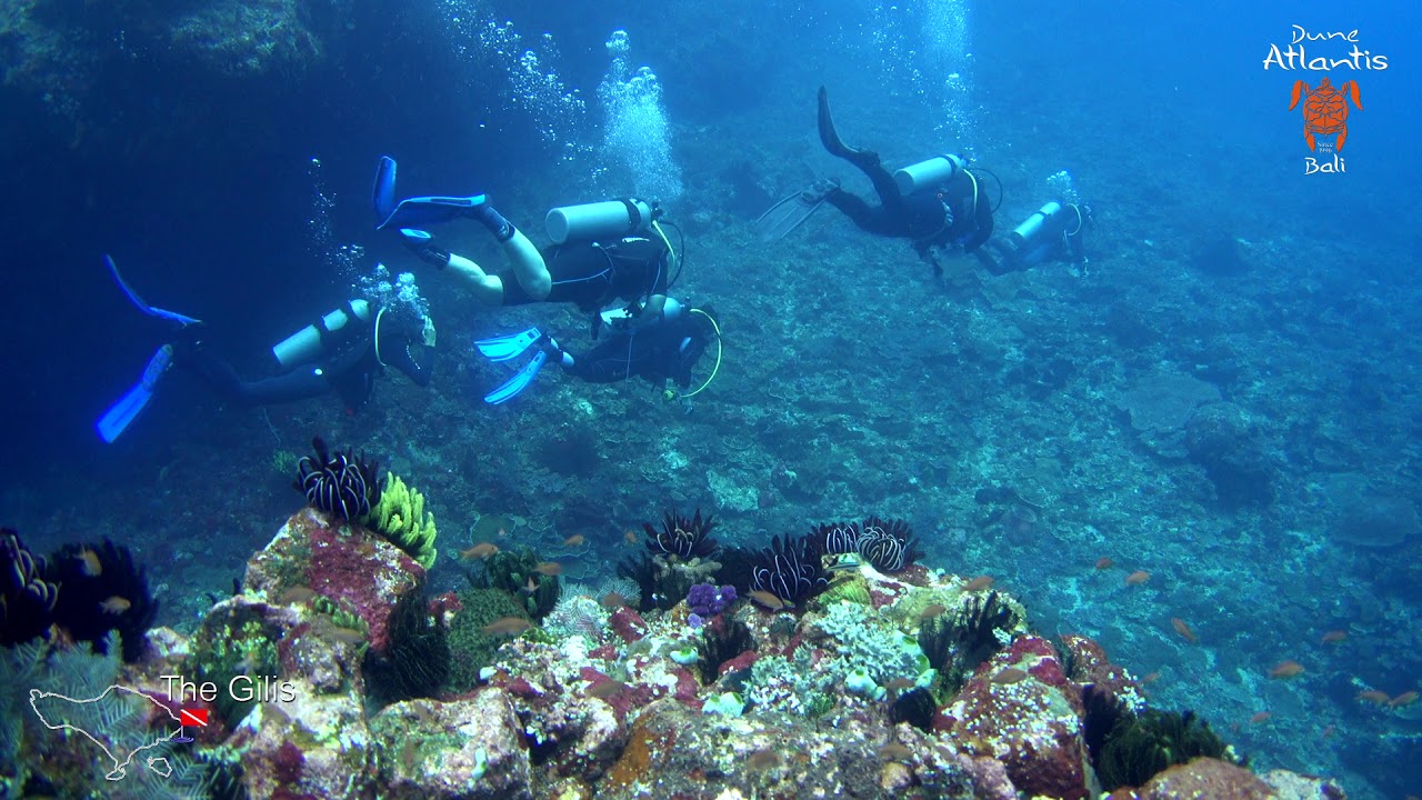 Dune Atlantis Bali - Dive Site - Gili, Tepekong - YouTube