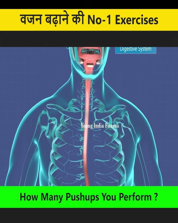 ✅No. 1 Weight Gain Workout 🥵| #weightgain #shorts #youngindiafitness