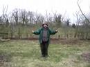 pruning the Bramley