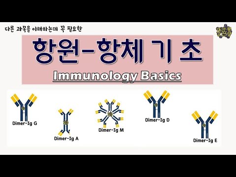 immune antigen-antibody reaction / Complete antigen / Hapten / Immunoglobulin(Ig)
